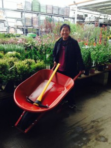 Needed a wheel barrow and pick axe for this project. Thanks, Lu!