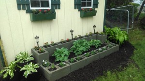 AFTER:  Transplanted various hostas from parts of existing garden.  Impatiens from plant sale at Elena's old elementary school.  Also some petunias and dianthus.