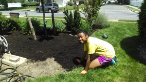 Elena worked all morning and put down about 8 bags of mulch.